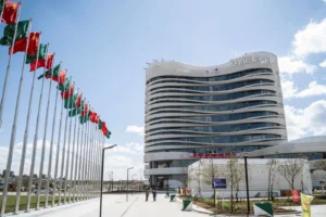 African governments urged to harness $95 billion in diaspora remittances for health financing