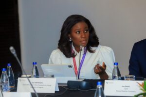 Verheijen urges Africa to offer competitive returns for capital