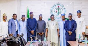 Why 56% of IT projects by Nigerian government institutions fail—NITDA  