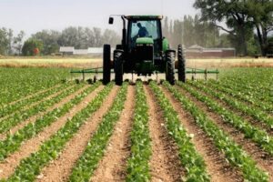 Nigeria’s agricultural sector attracted $167.25 million in capital inflows in 2025