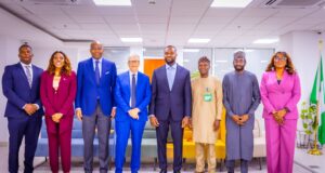 Access Holdings’ Aig-Imoukhuede joins National AI Trust to push Nigeria’s AI development 