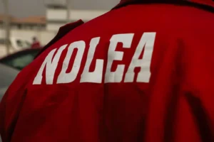 NDLEA declares meth kingpin wanted, freezes N9.84 billion in bank accounts