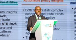 Biased credit ratings raising borrowing costs in Africa – Yemi Kale 