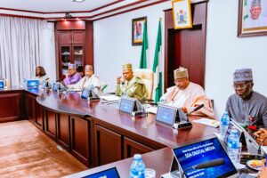 Tinubu approves 6-month ban on raw shea nut exports to boost Nigeria’s $300 million shea industry  