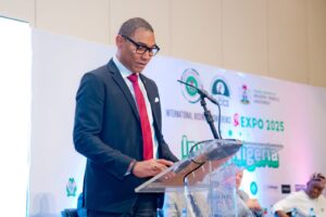 All On Chairman urges bold investments to bridge energy gap in Nigeria 