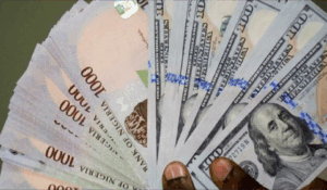 BMI Report: Naira gains temporary, currency seen at N1,550/$ by year-end