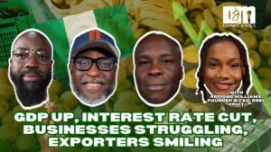 GDP Rises, Rates Fall: Why Nigerian Businesses Struggle While Exporters Cash In – Drinks and Mics 