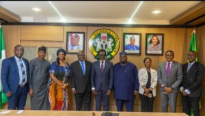 NAICOM, fintech players join forces to increase insurance penetration in Nigeria 
