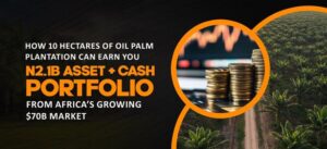 How 10 hectares of oil palm plantation could earn you N2.1 billion asset + cash portfolio from Africa’s growing $70 billion market