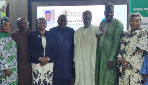 Federal Ministry of Environment flags off 1Gov Cloud digitalisation programme 