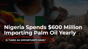 Nigeria spends $600 million importing palm oil yearly; is there an opportunity here?