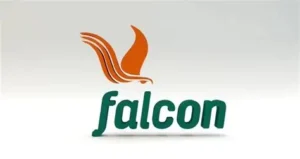 Falcon Corporation welcomes strategic investment from Energy& LLP to accelerate growth across Nigeria’s gas value chain   