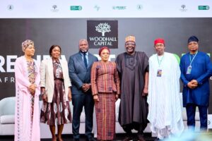 Woodhall Capital targets $50 Billion in Global Investments to drive Nigeria’s Development 