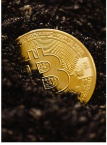 Can Bitcoin replace the Dollar in African digital trade? 