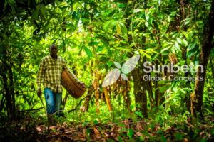 Innovate & Grow: How Sunbeth is shaping the future of Agri-Trade 