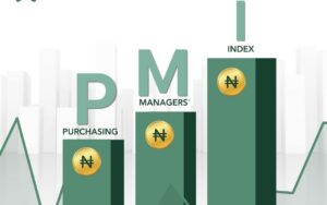 Nigeria PMI hits 53.2, broad-based expansion sustains for 16 months