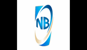 Q1 2026: Nigerian Breweries Plc records N55.95b profit