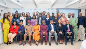 Nigeria’s renewable energy sector gets $20m blended finance push