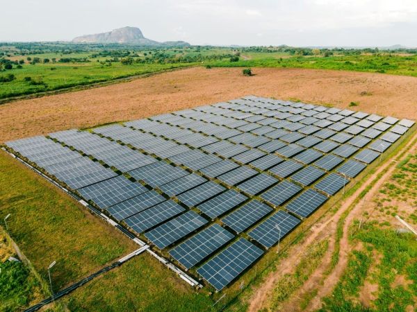 Stop Losing Profit: Why Your Business Should Transition to Solar Energy Now