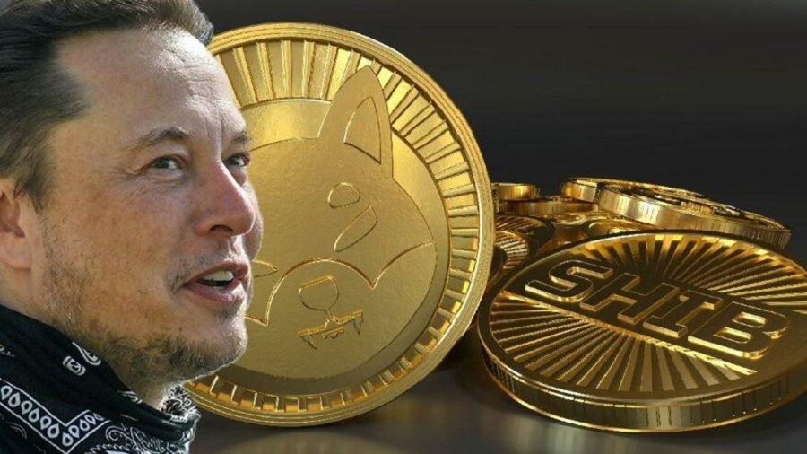 Elon Musk says he will keep supporting Dogecoin amid $258 billion lawsuit