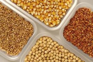 BOA, FG launch financing scheme to increase grain output to 25 million tonnes
