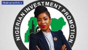 Meet Eyitope Kola-Oyeneyin: Former McKinsey Partner appointed NIPC Chairperson
