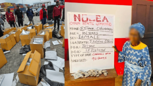 NDLEA arrests 101-year-old great-grandmother, intercepts N4.4 billion worth of illicit drugs