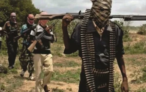 Nigeria records 256 kidnap victims, 445 casualties in two weeks – Report