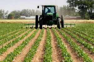 PMI: Agriculture records 24th consecutive month of growth as private sector expands