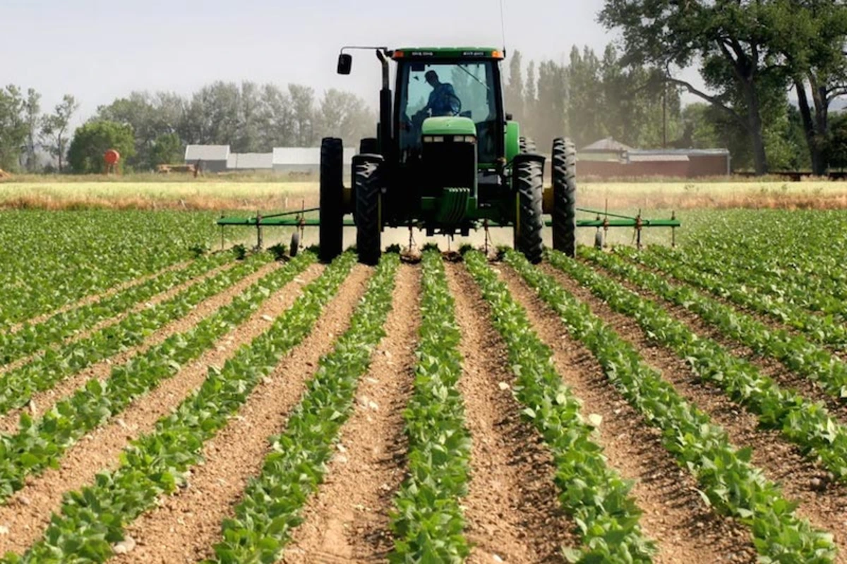 Banks shift N3.86 trillion into agriculture as oil and gas credit shrinks Image