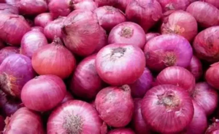 Nigerian onion traders suspend exports to Ghana as trade dispute deepens