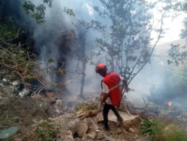 Ecuador intelligence chief, wife, American tourists killed in Kenya helicopter crash