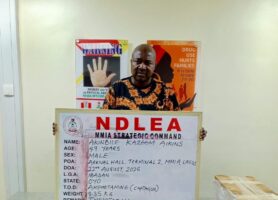 NDLEA intercepts N6.2 billion worth of ‘Jihadi drug’ and opioids at Lagos airport