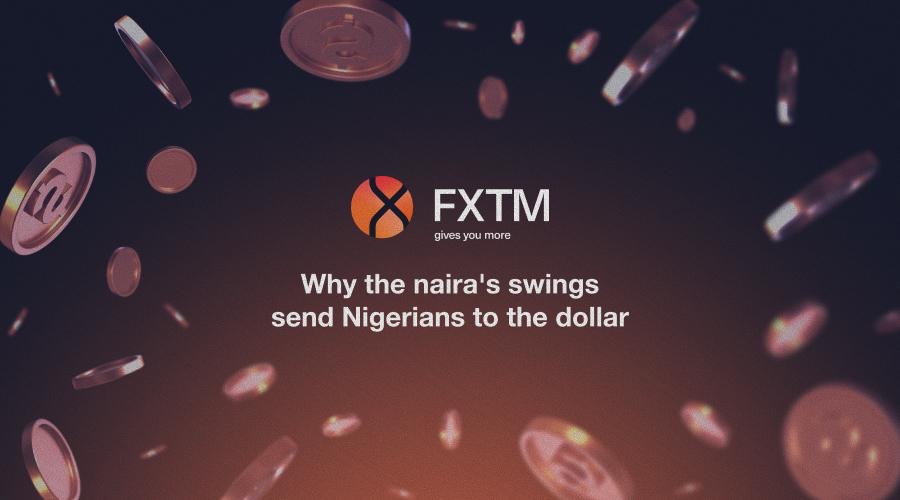 Naira : la volatilité maîtrisée pousse les Nigérians vers le dollar