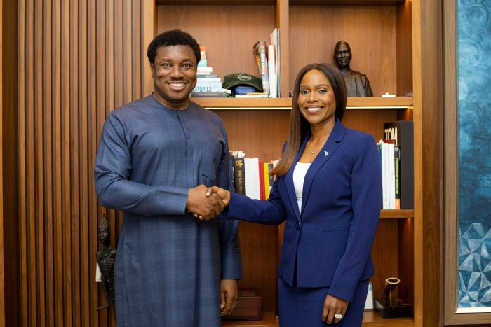 VFD Group Appoints Ijeoma Emezie-Ezigbo as Deputy Managing Director, Reinforces Institutional Governance